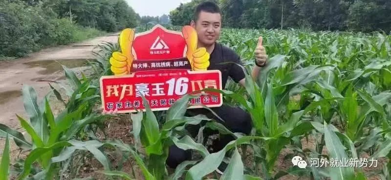 350vip浦京集团校友孟鹏荣获2022年“全国高校毕业生基层就业卓越奖”